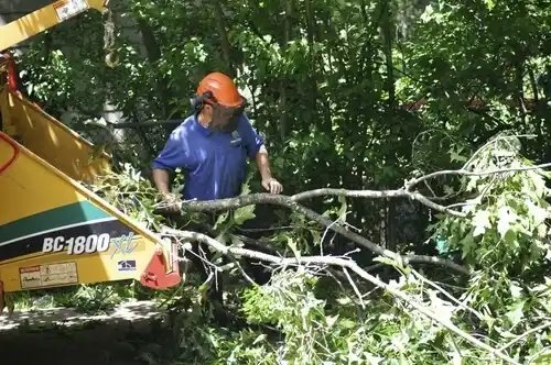 tree services Doolittle